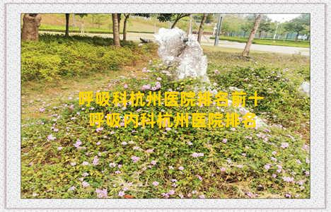 呼吸科杭州医院排名前十 呼吸内科杭州医院排名